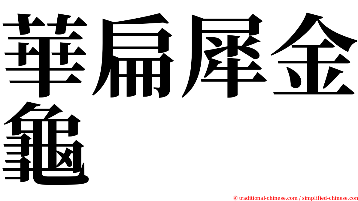 華扁犀金龜 serif font