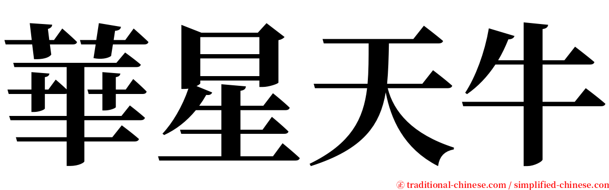 華星天牛 serif font