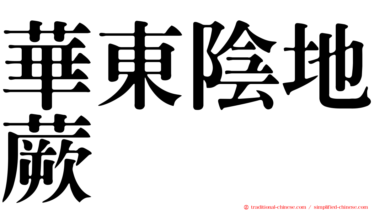 華東陰地蕨