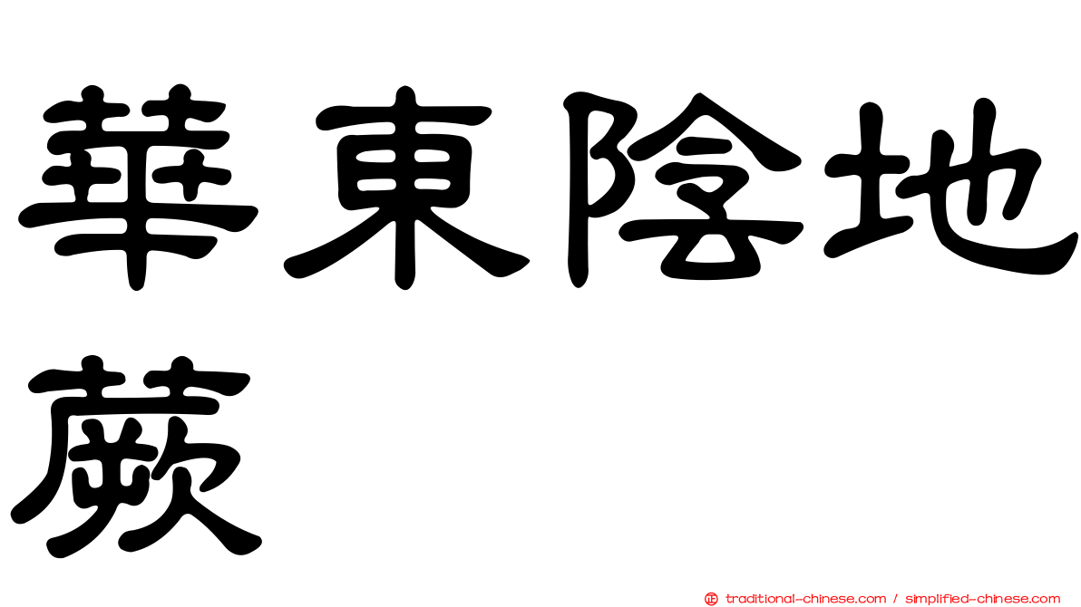 華東陰地蕨