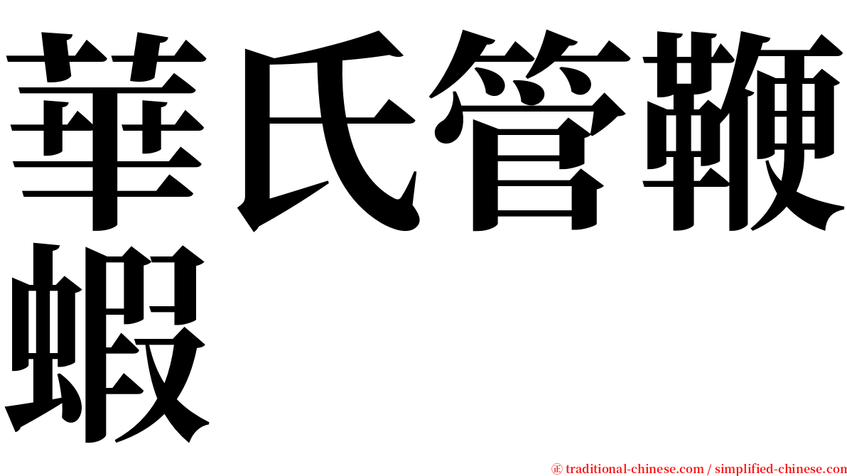 華氏管鞭蝦 serif font