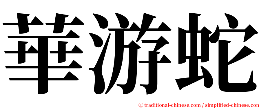 華游蛇 serif font