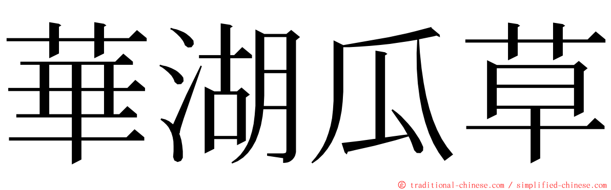 華湖瓜草 ming font