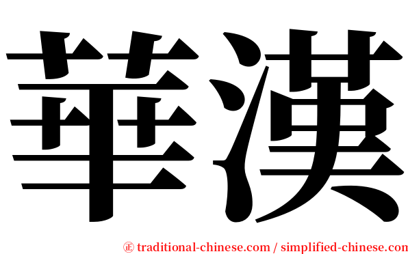 華漢 serif font