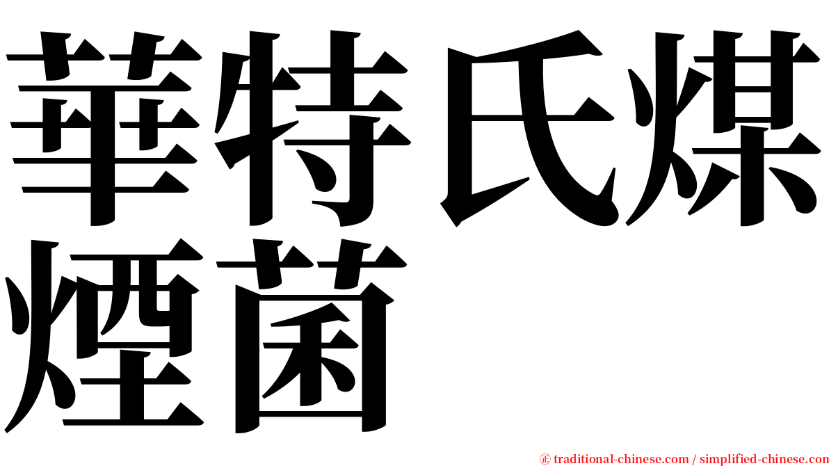 華特氏煤煙菌 serif font