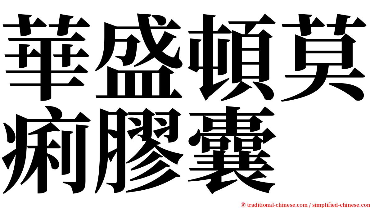 華盛頓莫痢膠囊 serif font