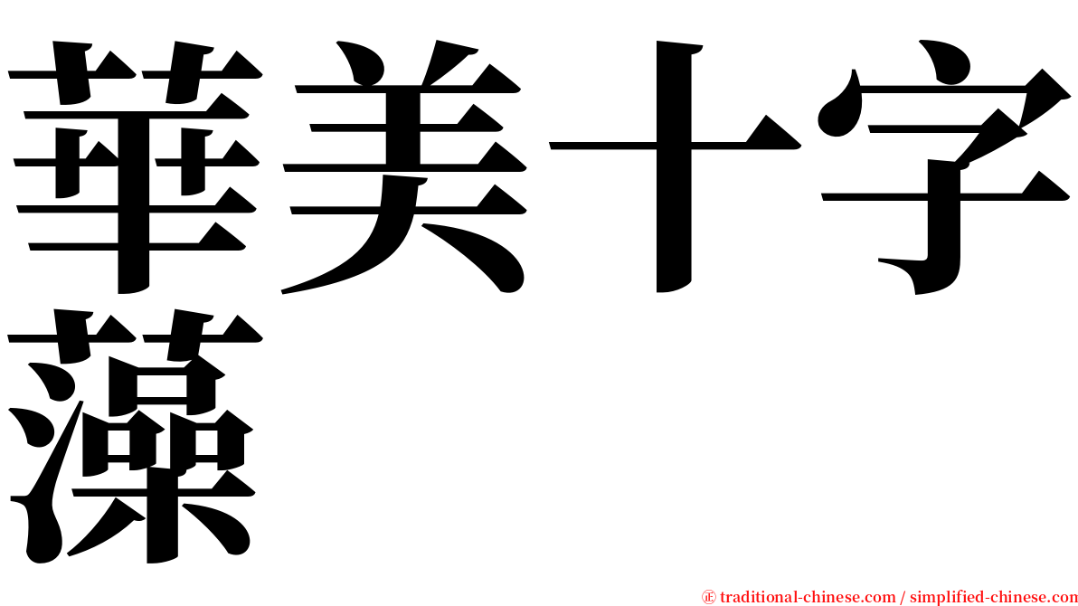 華美十字藻 serif font
