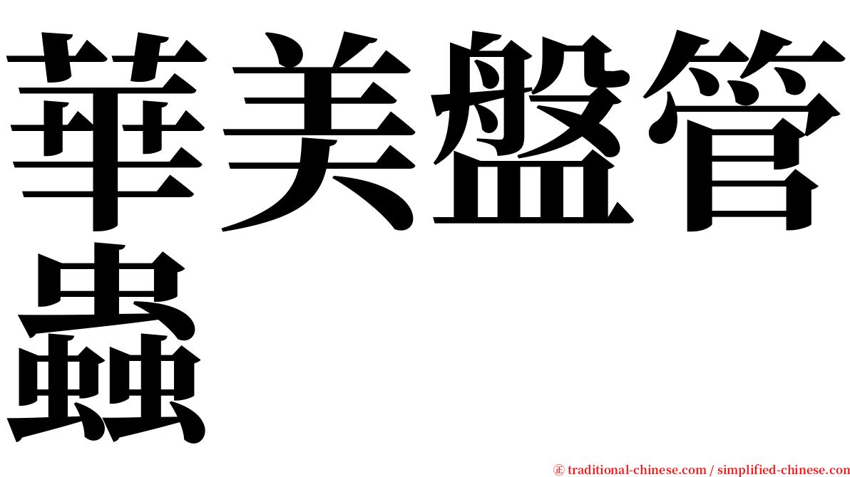 華美盤管蟲 serif font