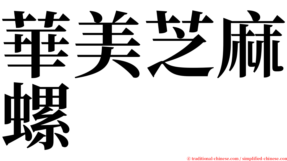 華美芝麻螺 serif font