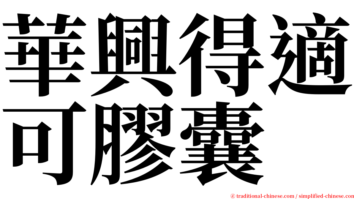 華興得適可膠囊 serif font