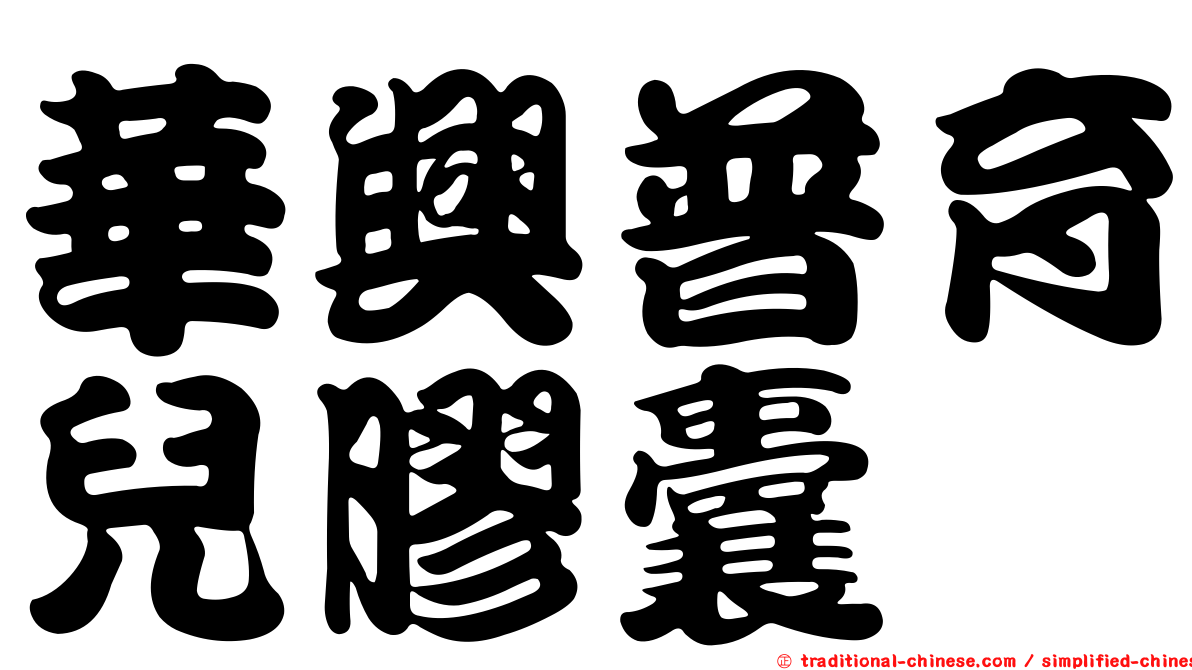 華興普育兒膠囊