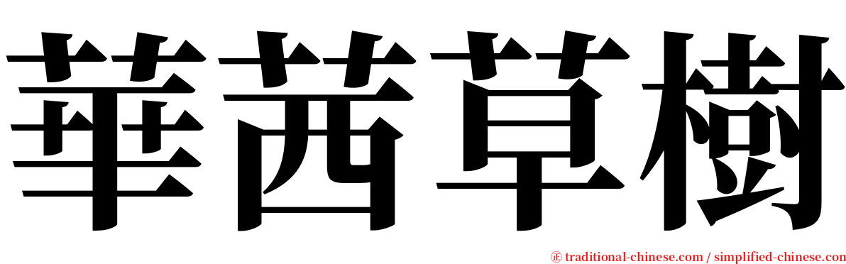 華茜草樹 serif font