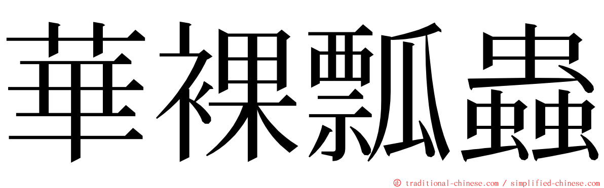 華裸瓢蟲 ming font