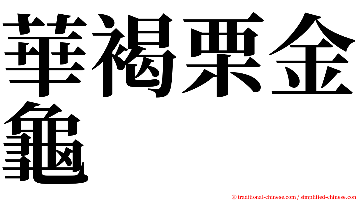 華褐栗金龜 serif font