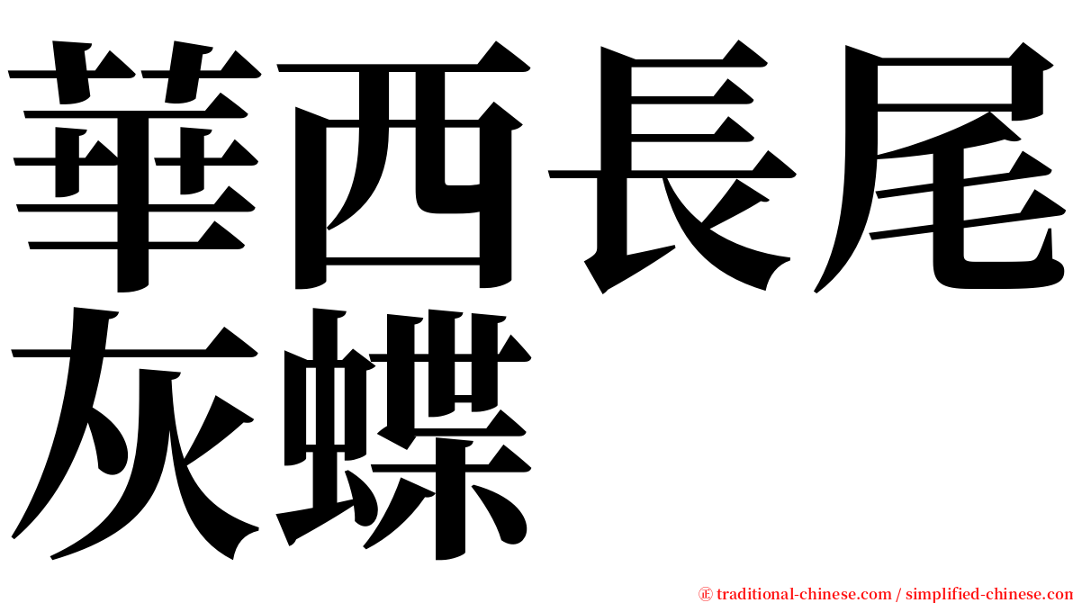 華西長尾灰蝶 serif font