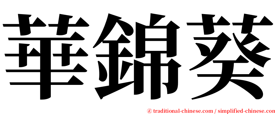 華錦葵 serif font