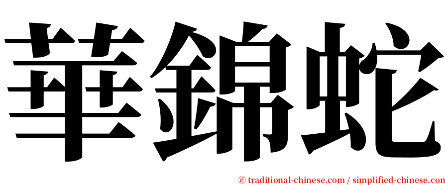 華錦蛇 serif font