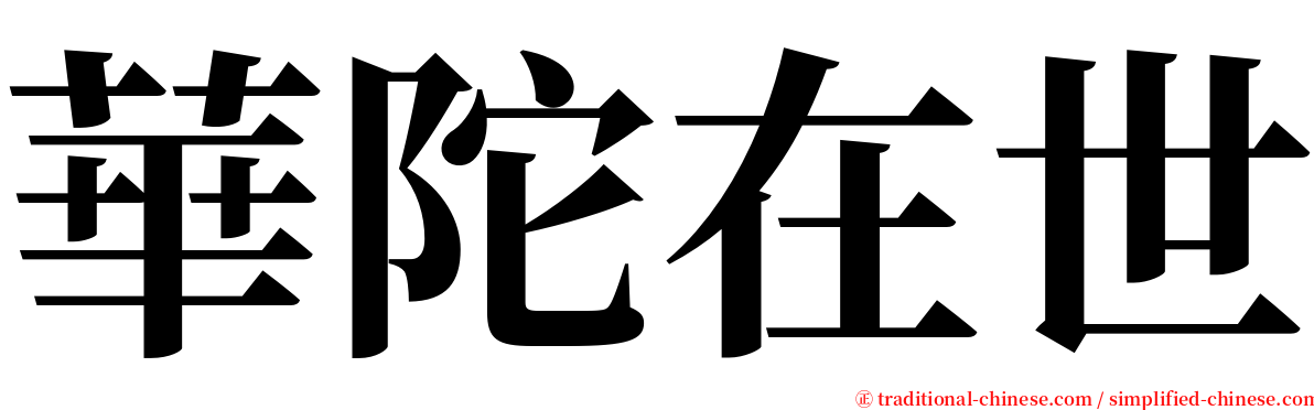 華陀在世 serif font