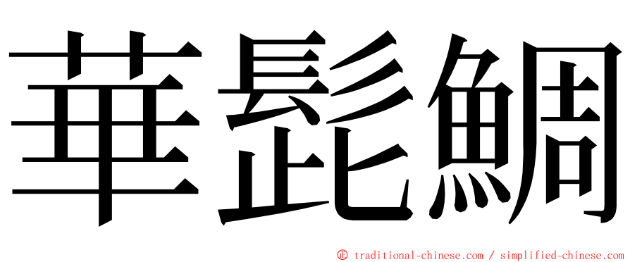 華髭鯛 ming font