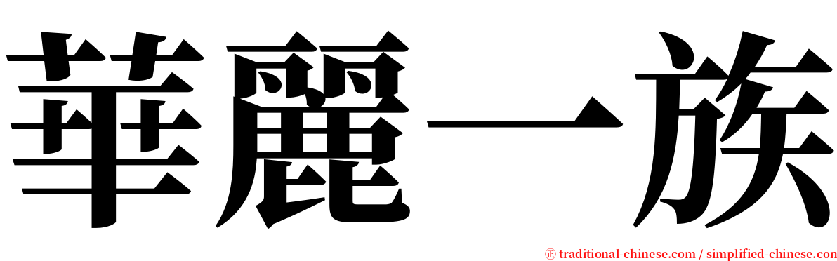 華麗一族 serif font