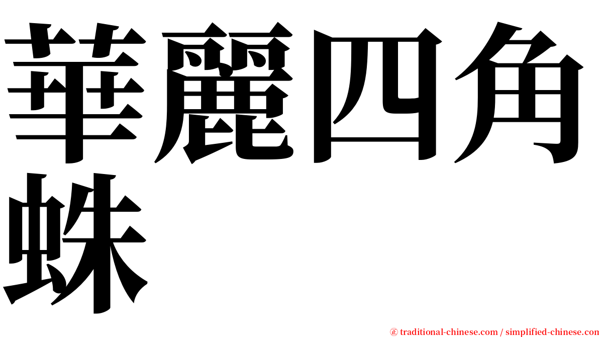 華麗四角蛛 serif font