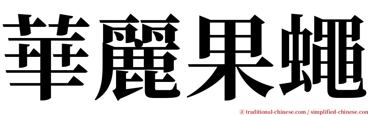 華麗果蠅 serif font