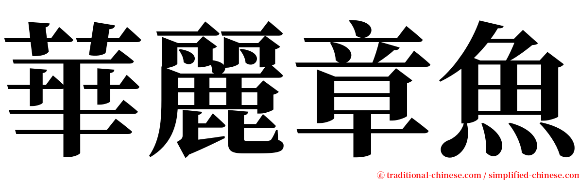 華麗章魚 serif font