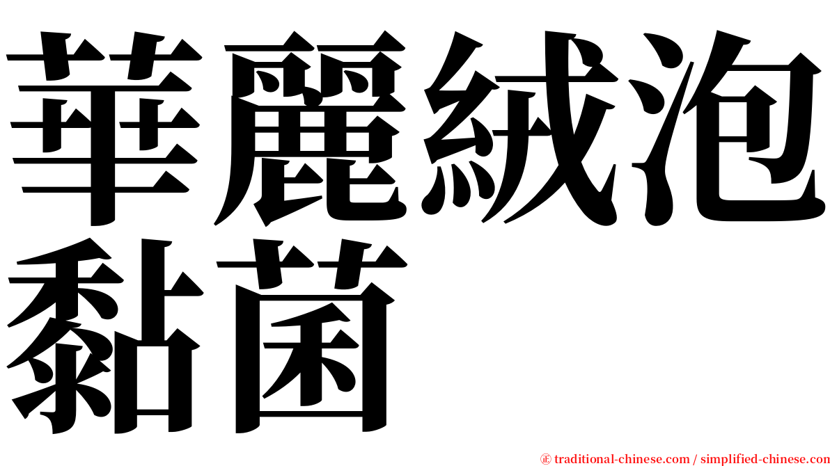 華麗絨泡黏菌 serif font