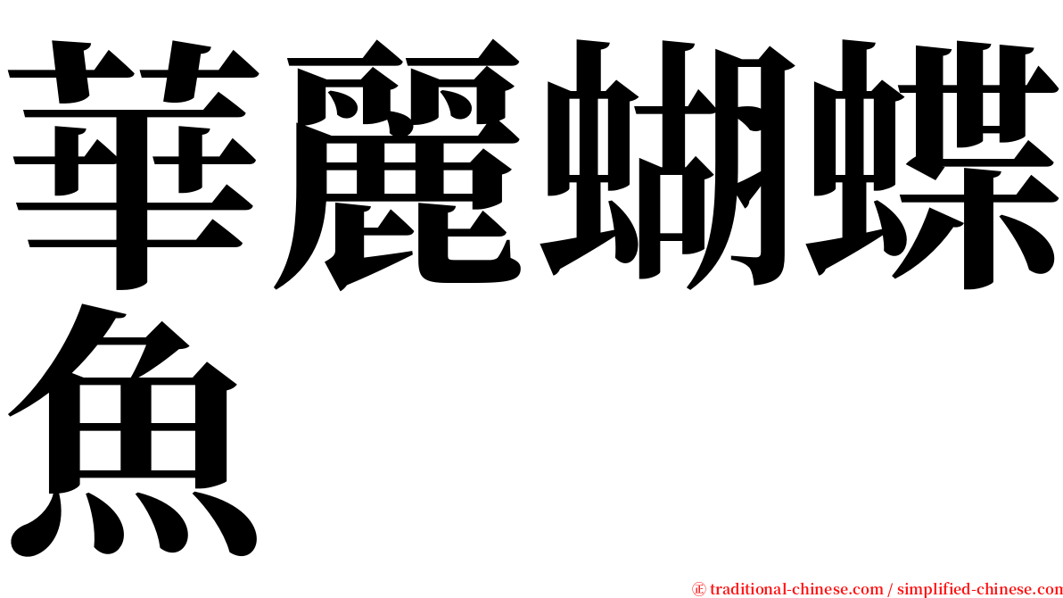 華麗蝴蝶魚 serif font