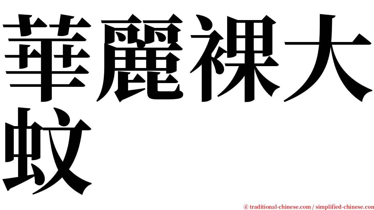 華麗裸大蚊 serif font