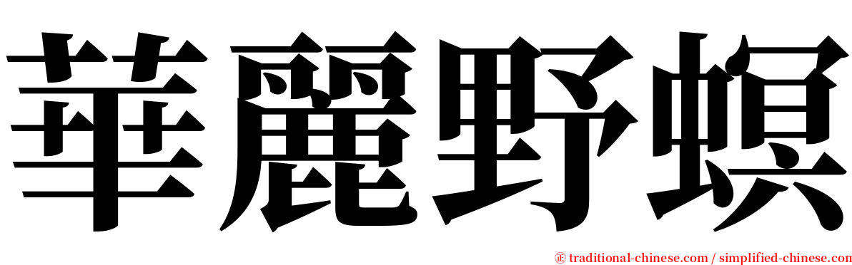 華麗野螟 serif font