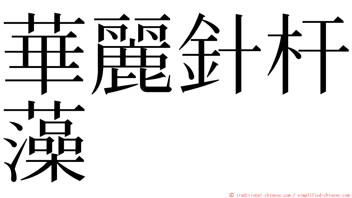 華麗針杆藻 ming font