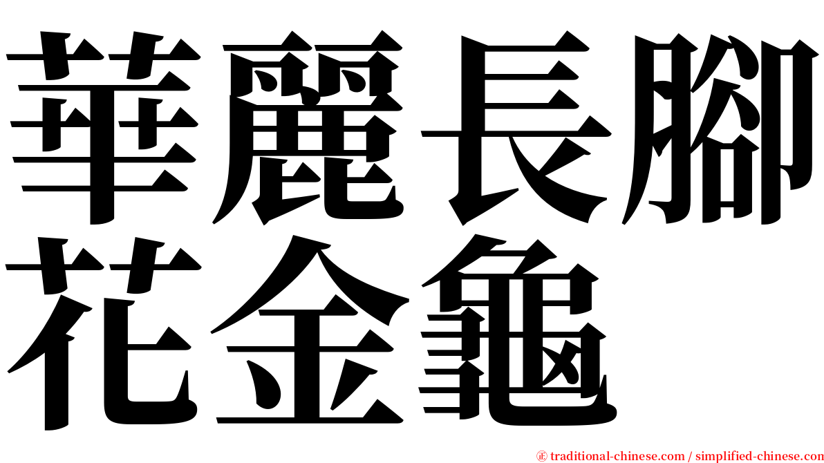 華麗長腳花金龜 serif font