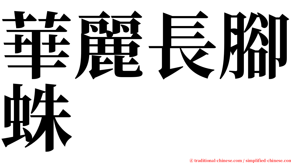 華麗長腳蛛 serif font