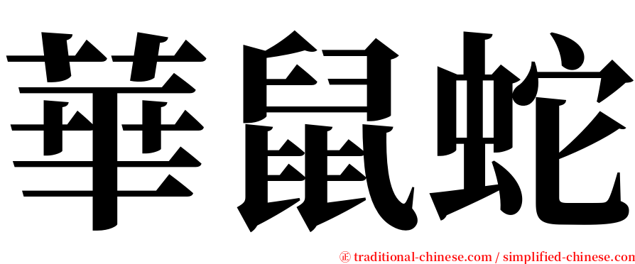 華鼠蛇 serif font