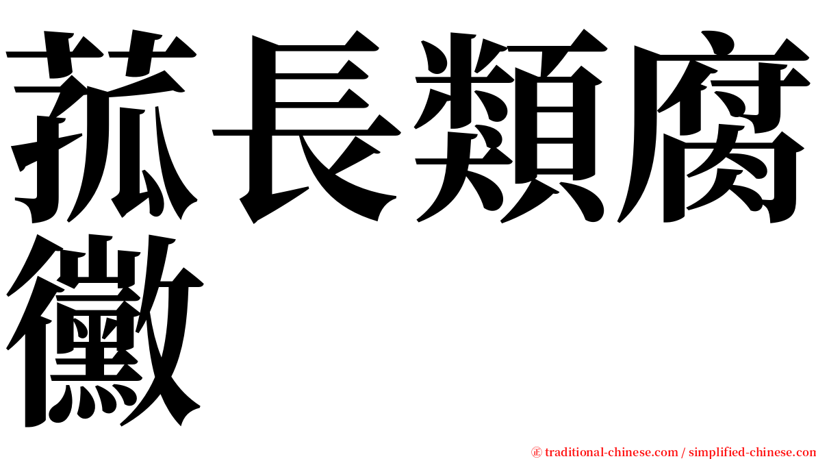 菰長類腐黴 serif font