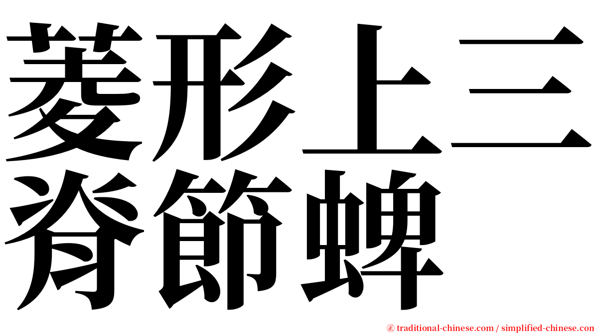 菱形上三脊節蜱 serif font