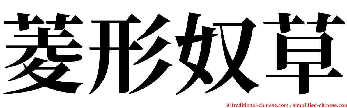 菱形奴草 serif font