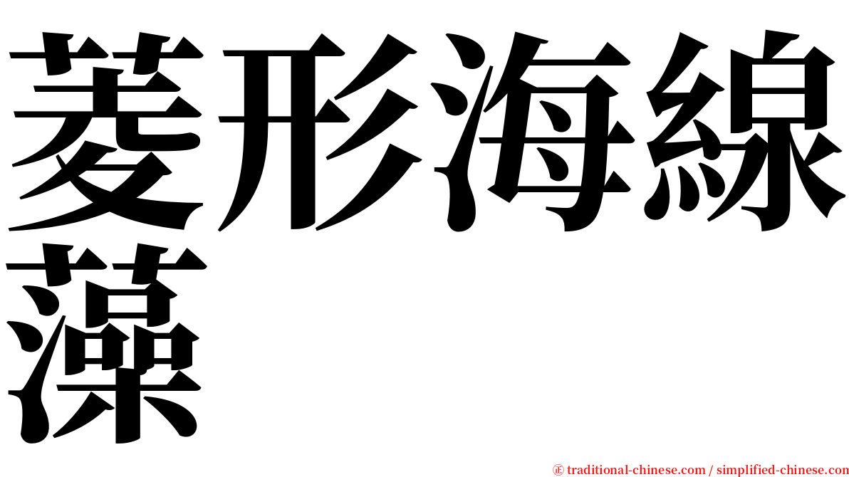 菱形海線藻 serif font