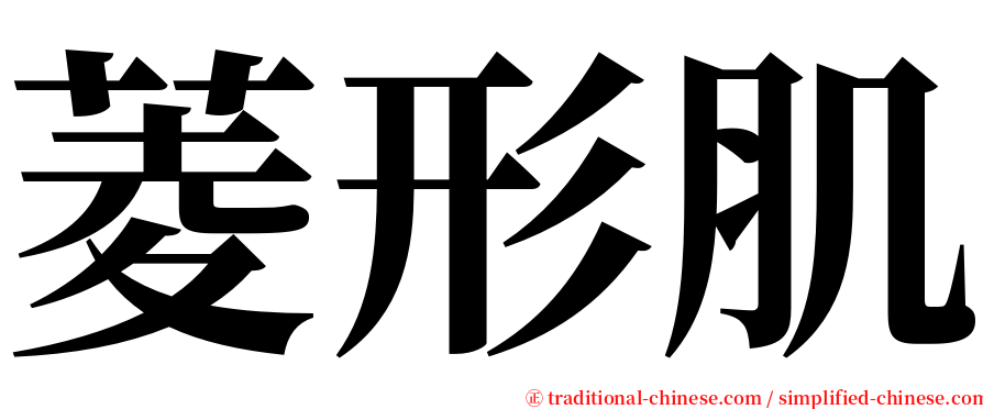 菱形肌 serif font