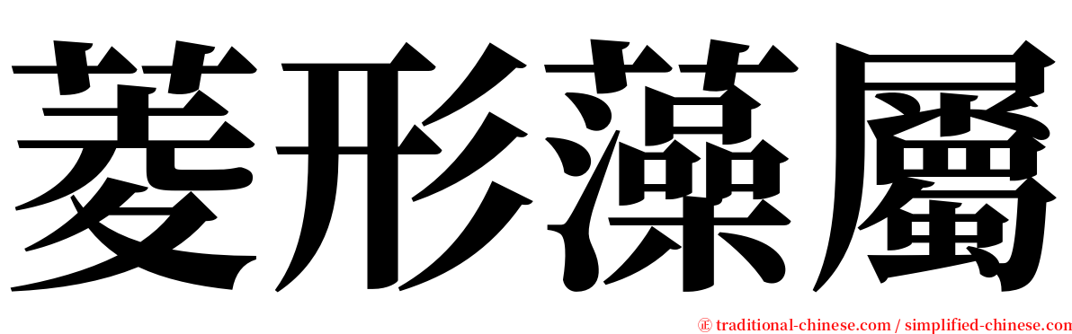 菱形藻屬 serif font