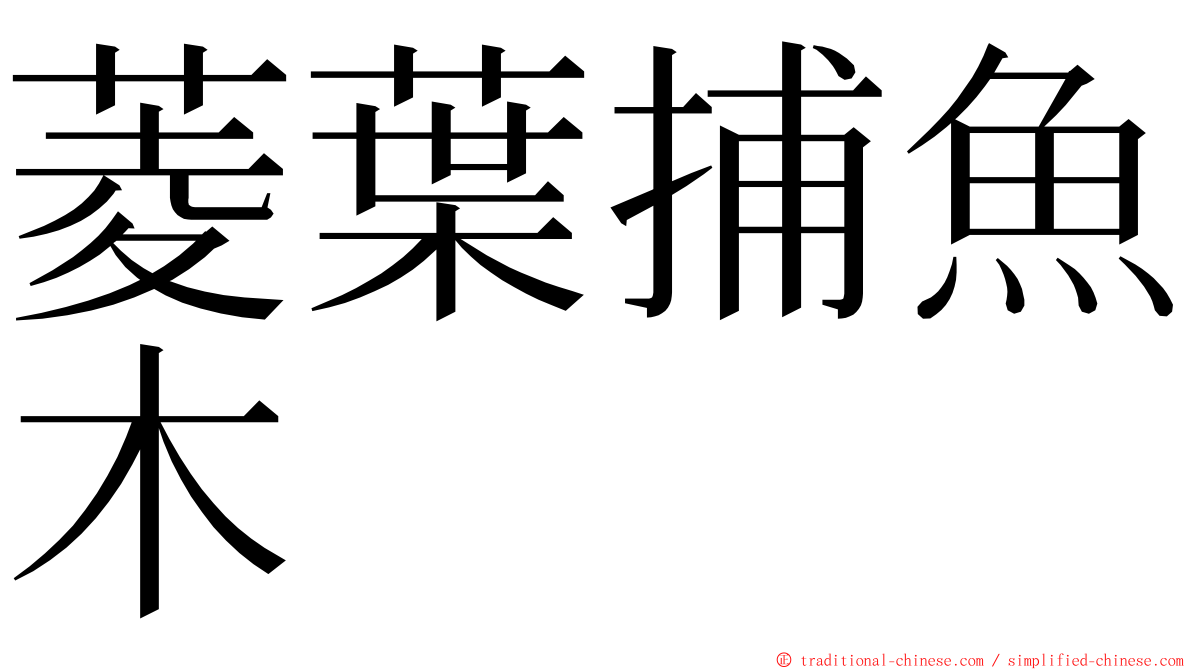 菱葉捕魚木 ming font