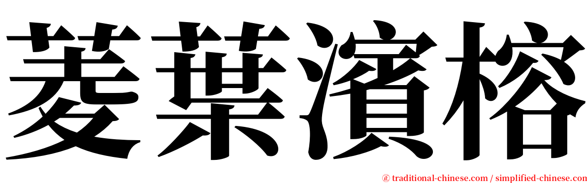 菱葉濱榕 serif font