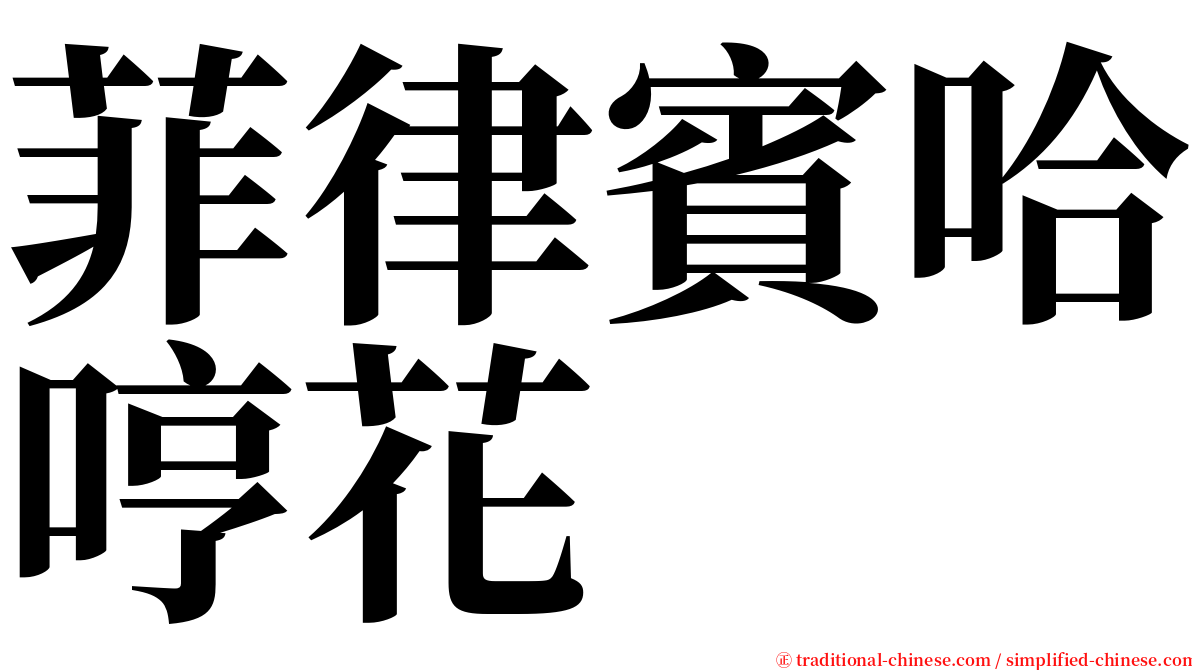 菲律賓哈哼花 serif font