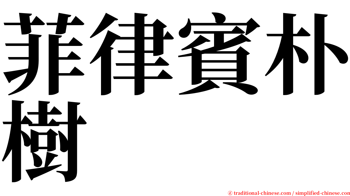 菲律賓朴樹 serif font