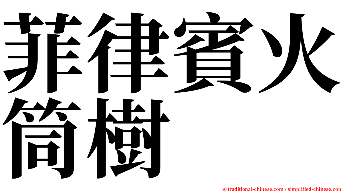 菲律賓火筒樹 serif font