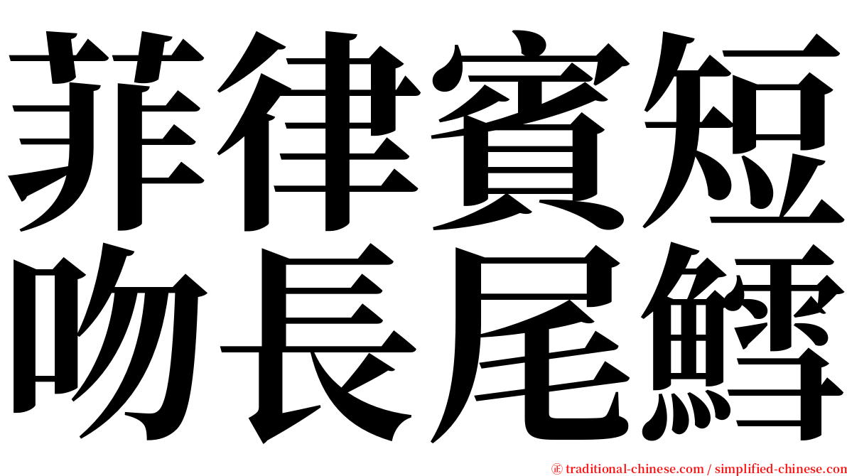 菲律賓短吻長尾鱈 serif font