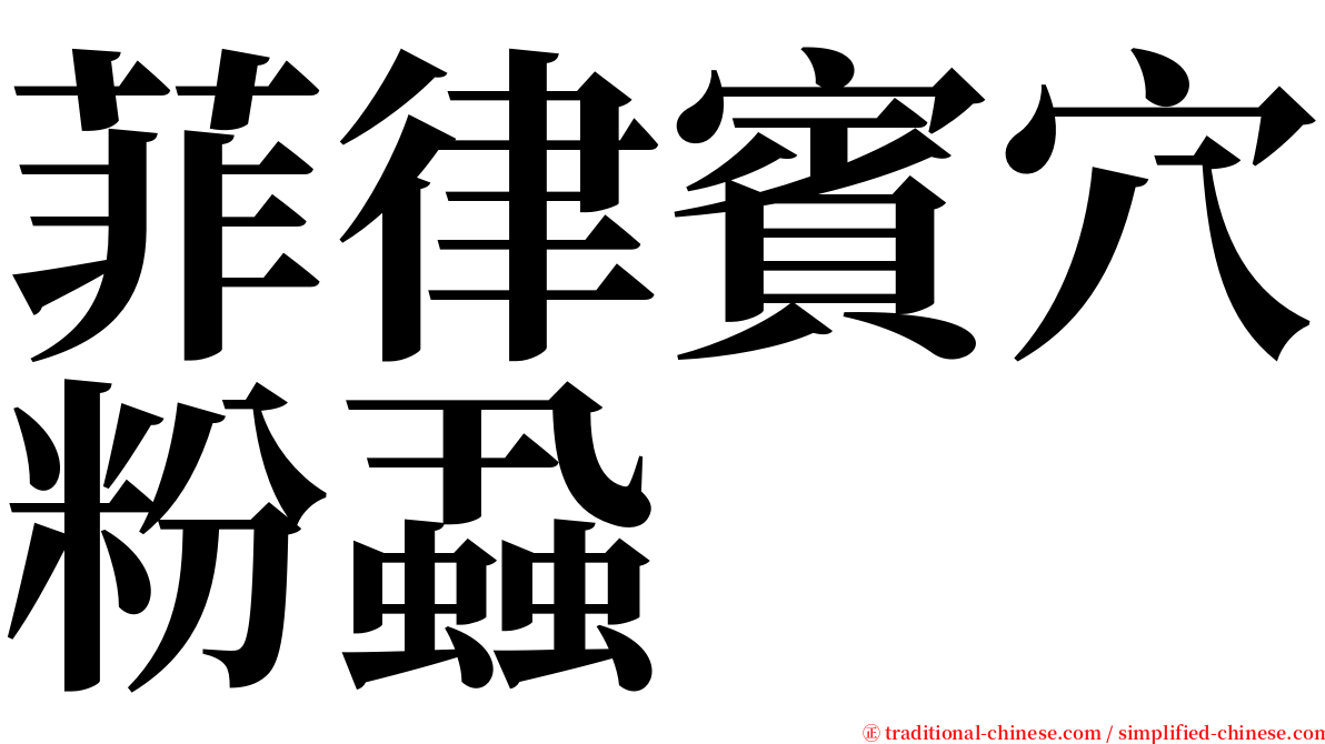 菲律賓穴粉蝨 serif font