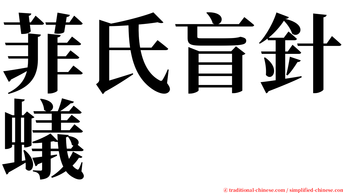 菲氏盲針蟻 serif font