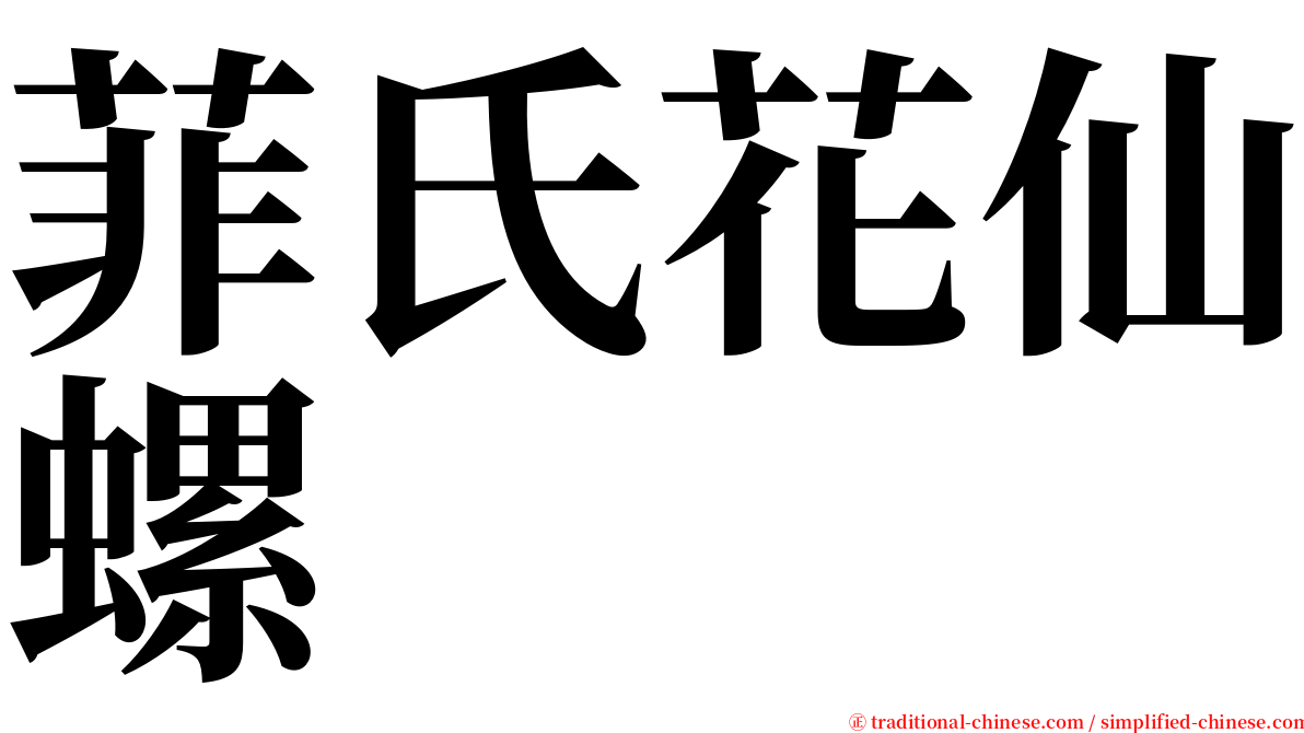 菲氏花仙螺 serif font